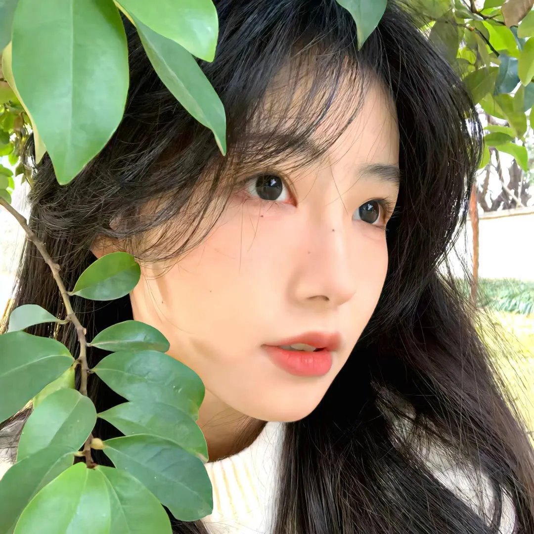 极地漫步